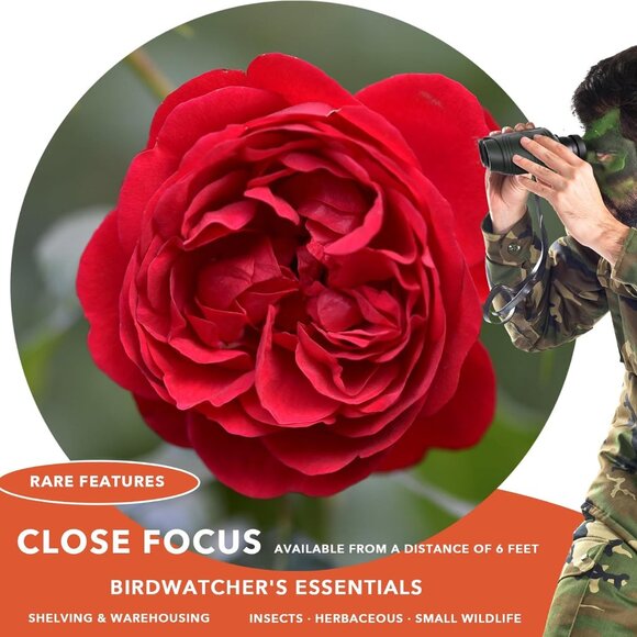 NIB Alatino 12x25 Compact Binoculars for Adults & Kids, - Picture 5 of 7